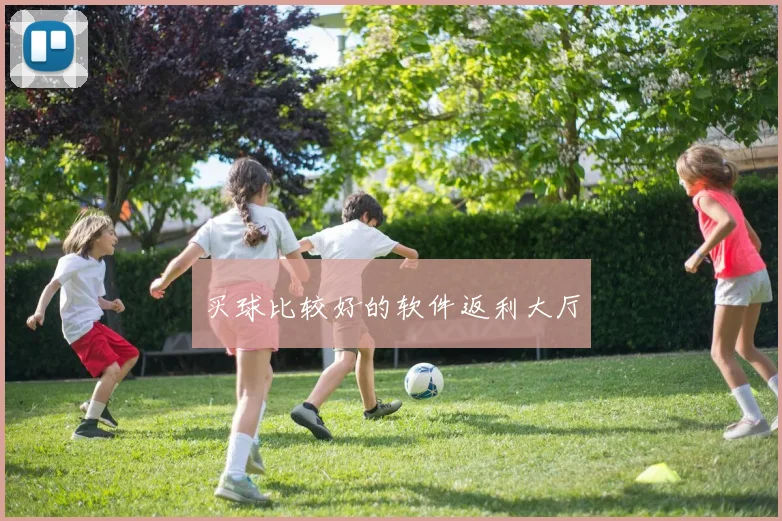 买球比较好的软件返利大厅