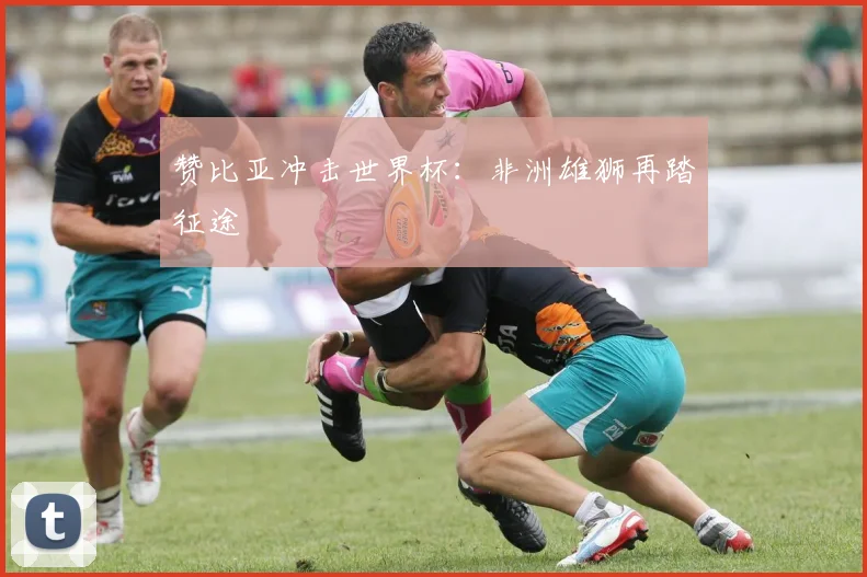 赞比亚冲击世界杯：非洲雄狮再踏征途