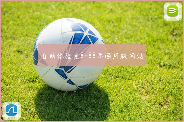 自助体验金8+88元通用版网站