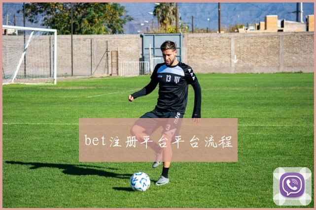 bet注册平台平台流程