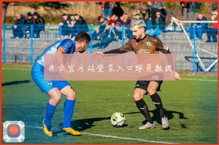 开云官方站登录入口球员数据