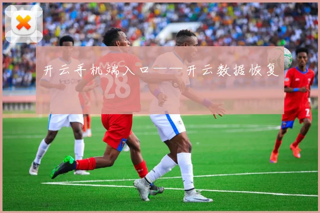 开云手机端入口——开云数据恢复