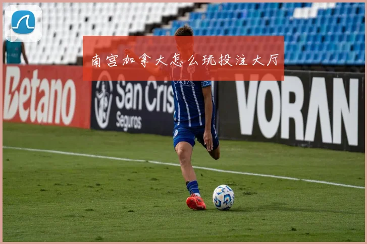 南宫加拿大怎么玩投注大厅