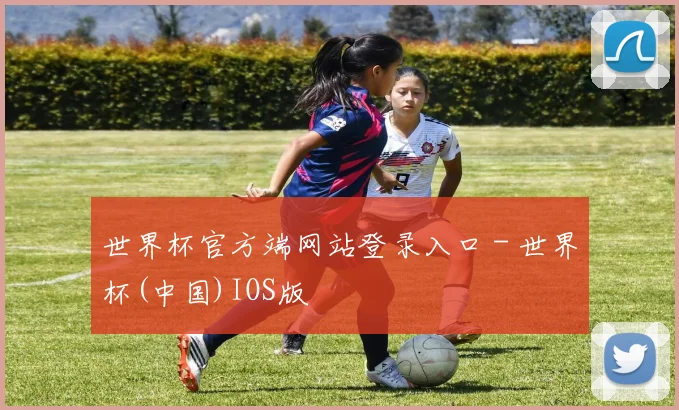 世界杯官方端网站登录入口 - 世界杯(中国)IOS版