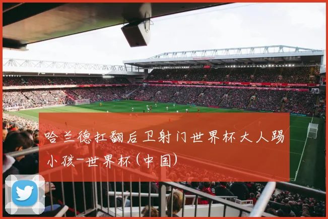 哈兰德扛翻后卫射门世界杯大人踢小孩-世界杯(中国)