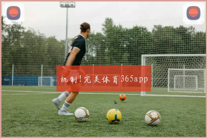 机制!完美体育365app