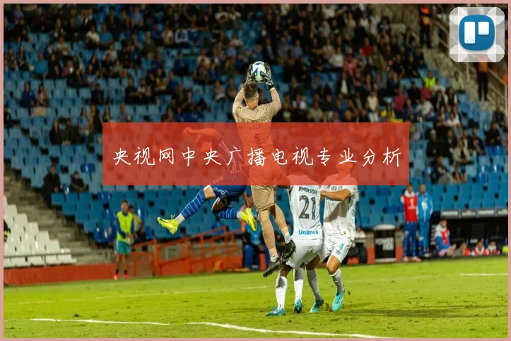 央视网中央广播电视专业分析