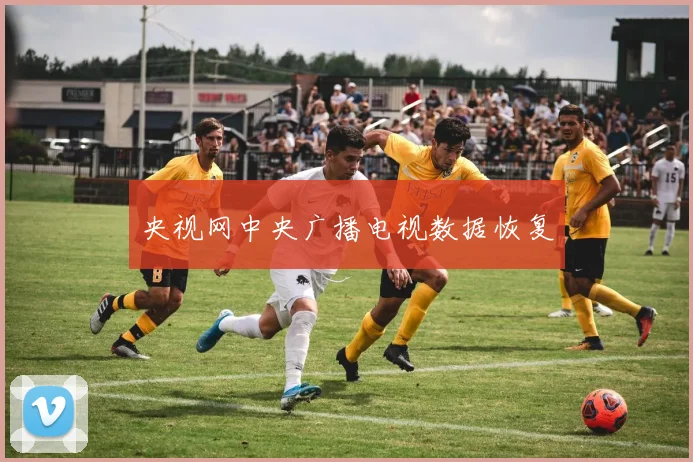 央视网中央广播电视数据恢复