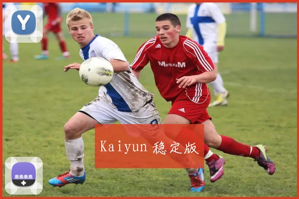 Kaiyun 稳定版