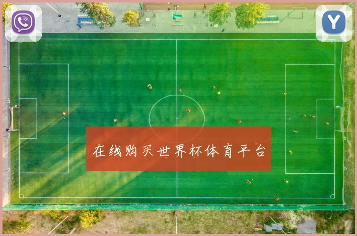 在线购买世界杯体育平台