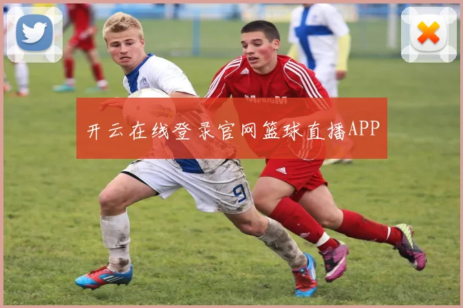 开云在线登录官网篮球直播APP