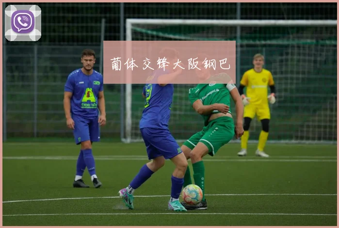 葡体交锋大阪钢巴