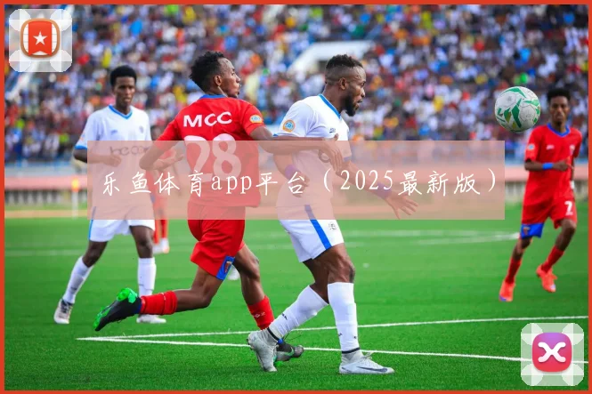 乐鱼体育app平台（2025最新版）