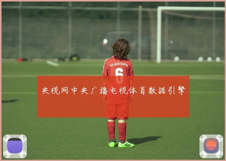 央视网中央广播电视体育数据引擎