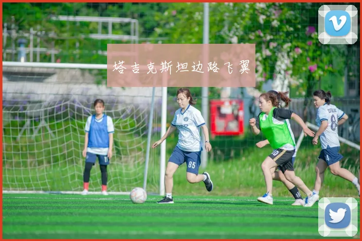 塔吉克斯坦边路飞翼