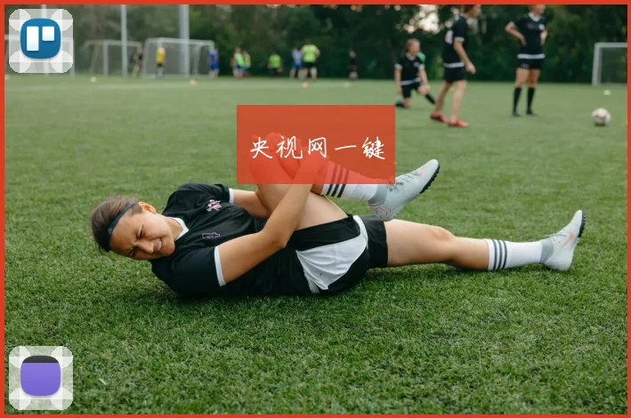 央视网一键