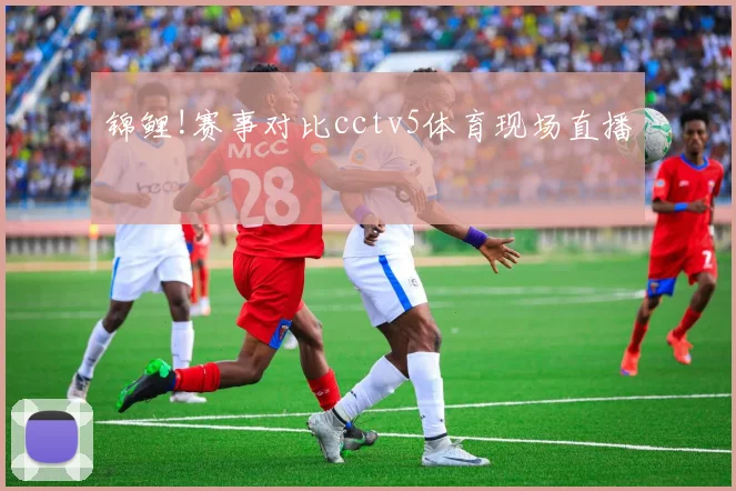 锦鲤!赛事对比cctv5体育现场直播