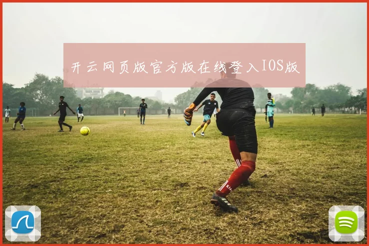 开云网页版官方版在线登入IOS版