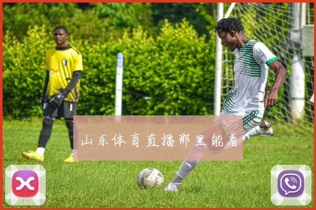 山东体育直播那里能看