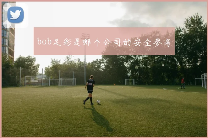 bob足彩是哪个公司的安全参考