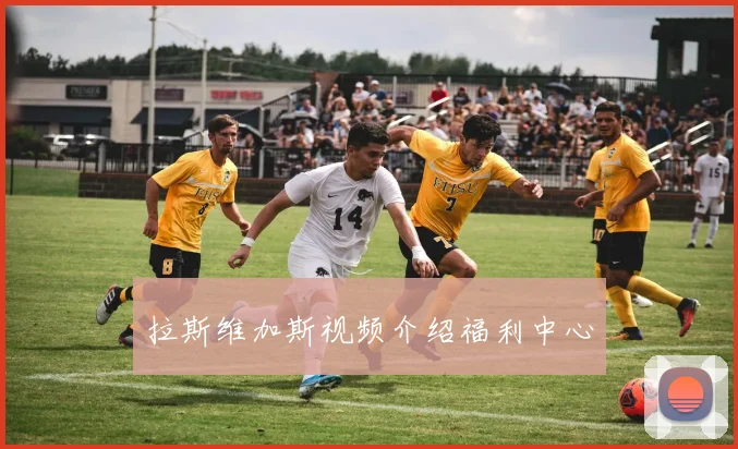 拉斯维加斯视频介绍福利中心