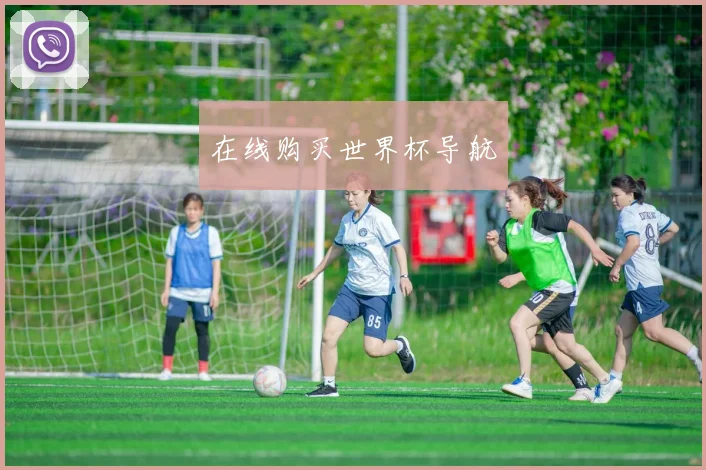 在线购买世界杯导航