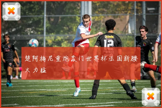 楚阿梅尼重炮轰门世界杯法国新腰火力猛
