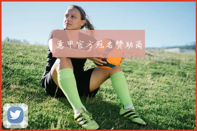 意甲官方冠名赞助商