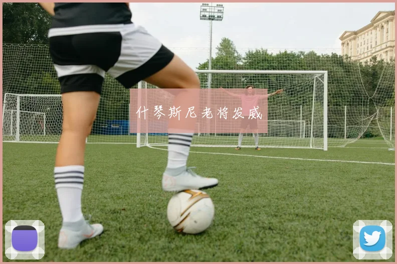 什琴斯尼老将发威