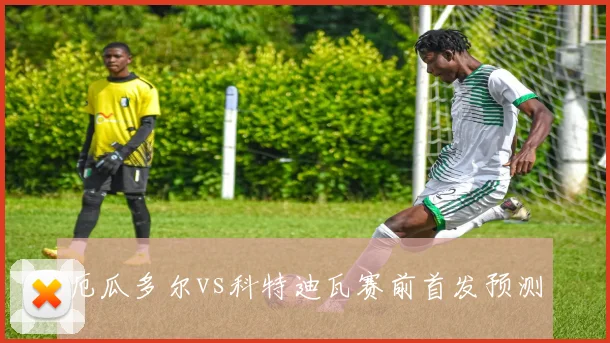 厄瓜多尔vs科特迪瓦赛前首发预测