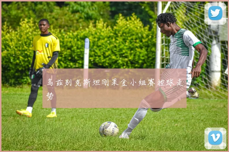 乌兹别克斯坦刚果金小组赛控球走势