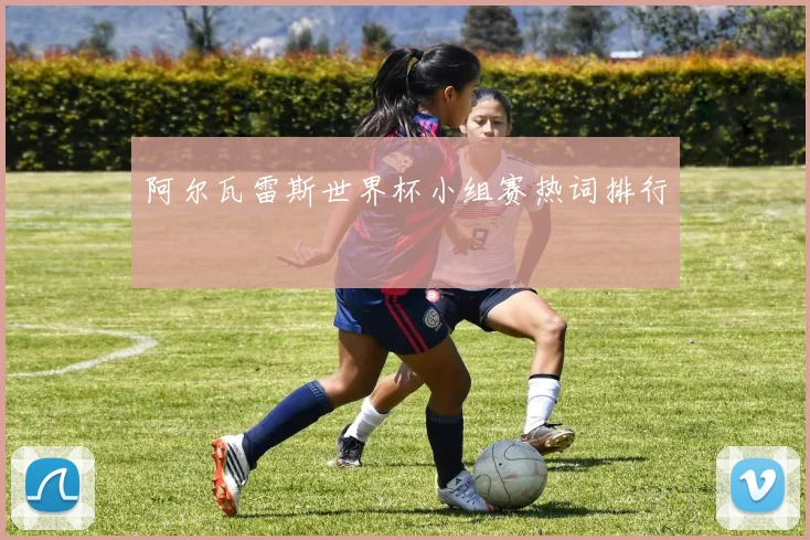 阿尔瓦雷斯世界杯小组赛热词排行