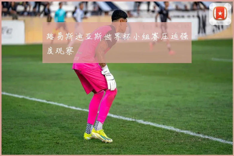 路易斯迪亚斯世界杯小组赛压迫强度观察