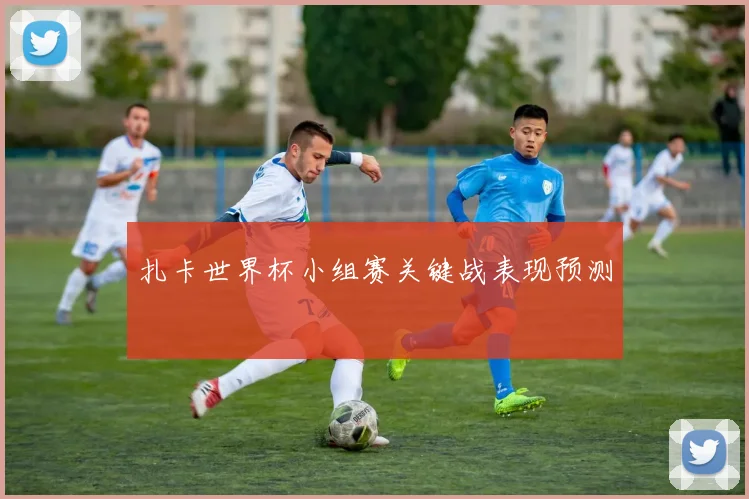 扎卡世界杯小组赛关键战表现预测