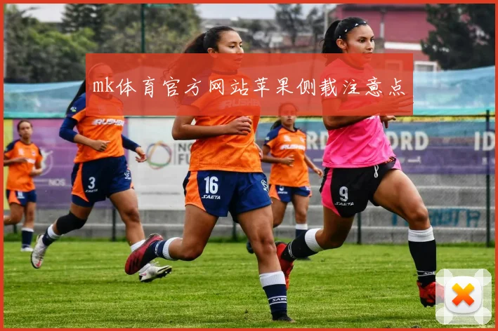 mk体育官方网站苹果侧载注意点